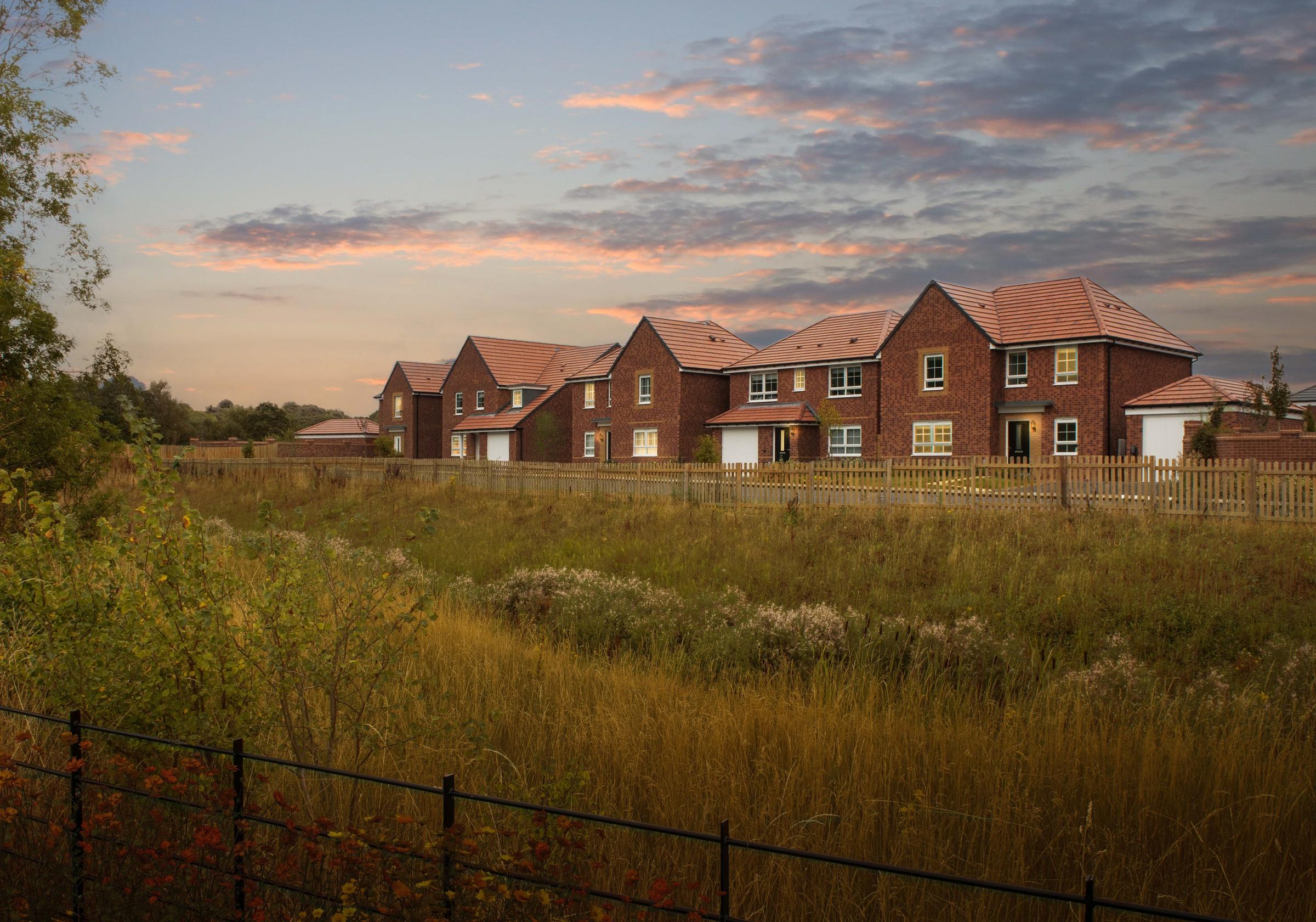 Silkin Meadows development 2 of 6