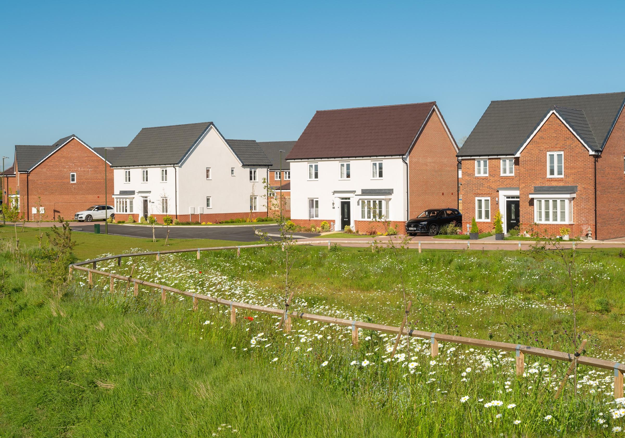 Ryebank Gate development 3 of 4