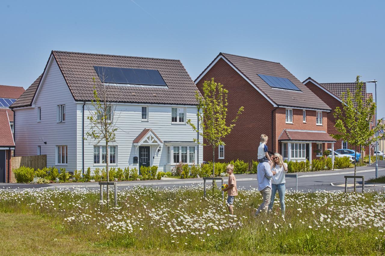 Wolsey Park development 1 of 1