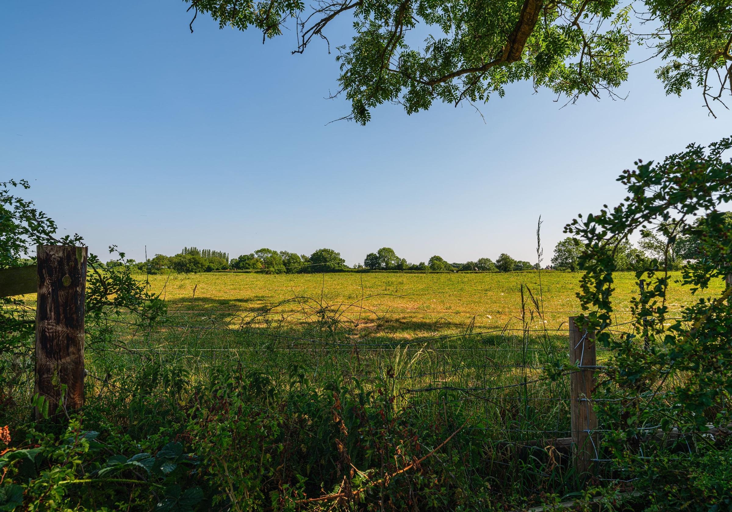 Olive Park development 3 of 3