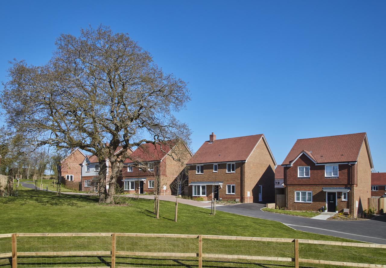 Ashdown Gardens development 1 of 1