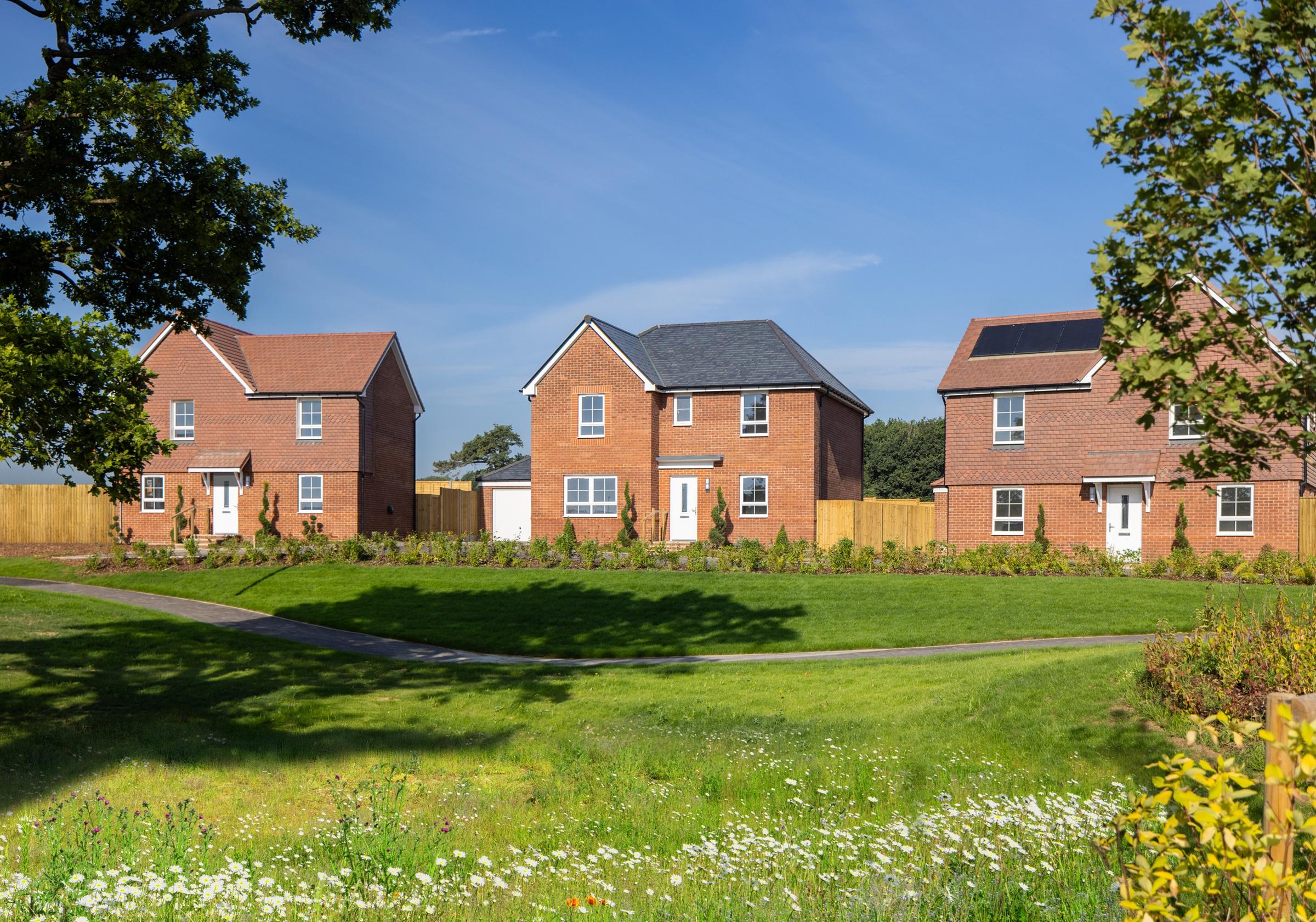 Cuckoo Fields development 2 of 3