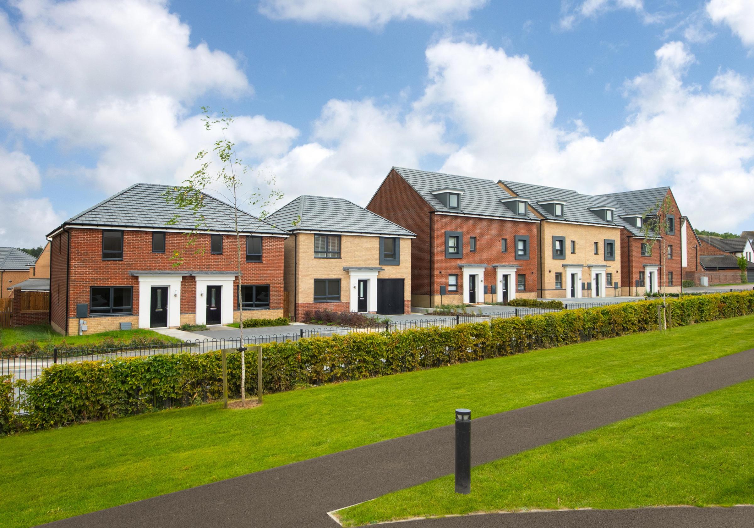 Affinity development 3 of 8