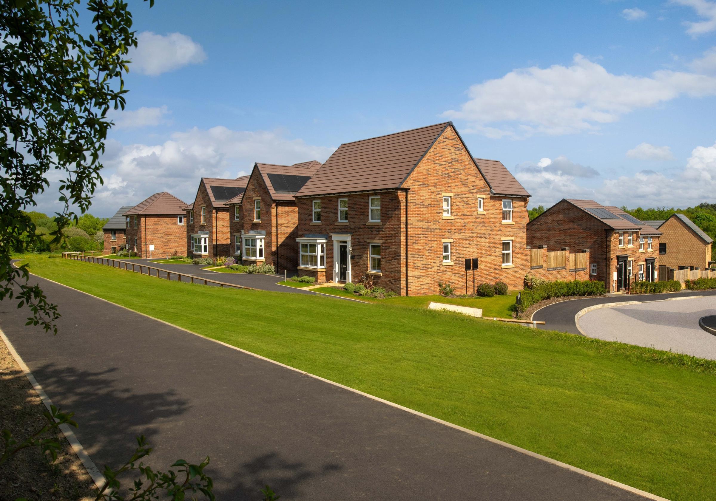 Bluebell Meadows development 1 of 7