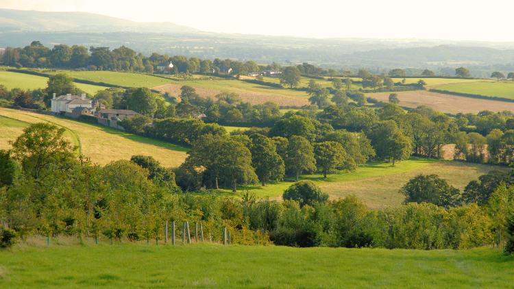 High Moor View, Winkleigh development 3 of 7