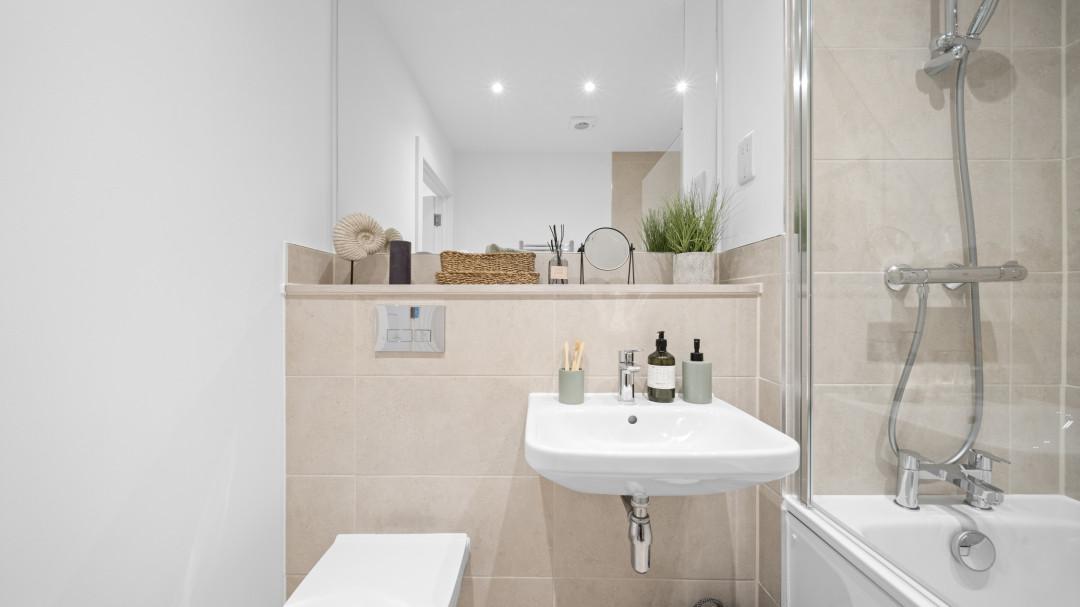 The Volary development 3 of 19