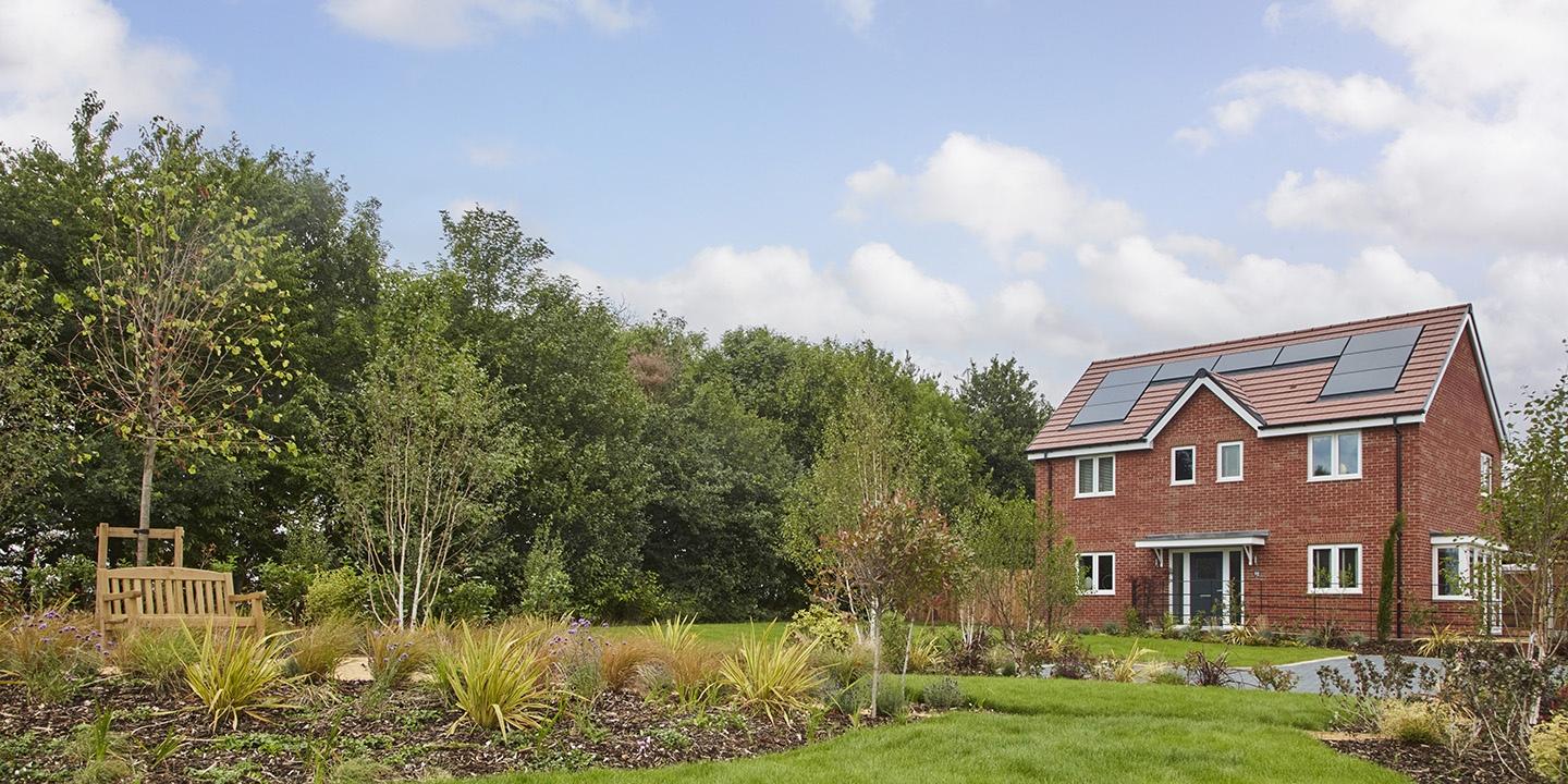 Ashberry at Forster Park development 1 of 1