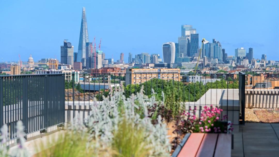 Glengall Rise OMS development 1 of 7