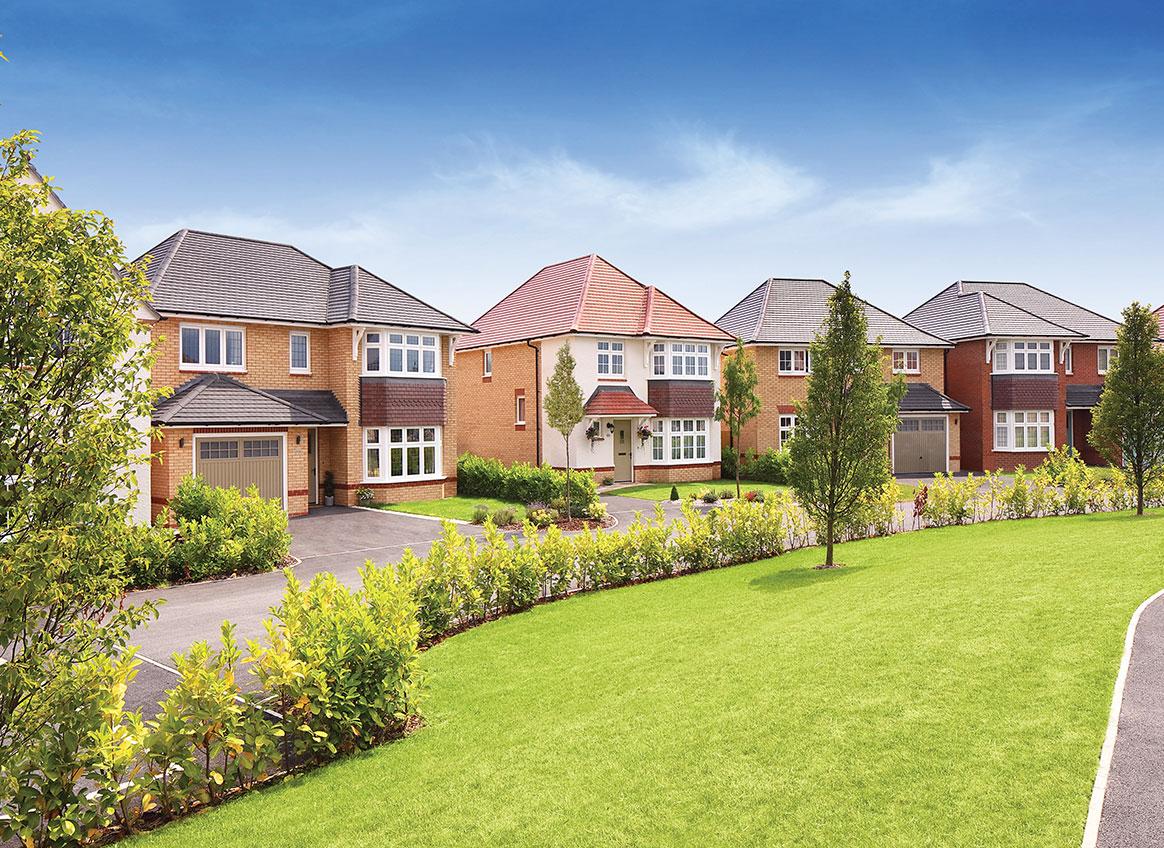 Midsummer Meadow development 2 of 11