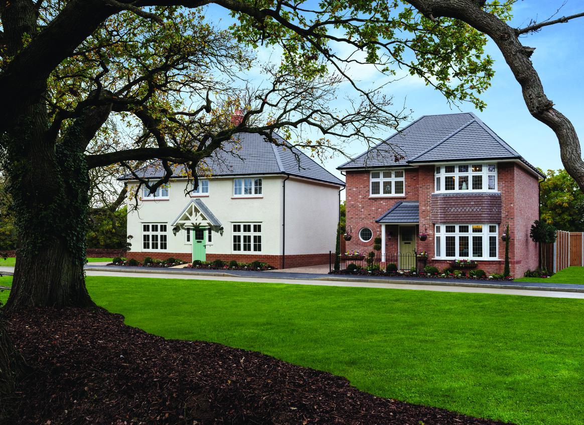 Hampden Meadow development 1 of 16