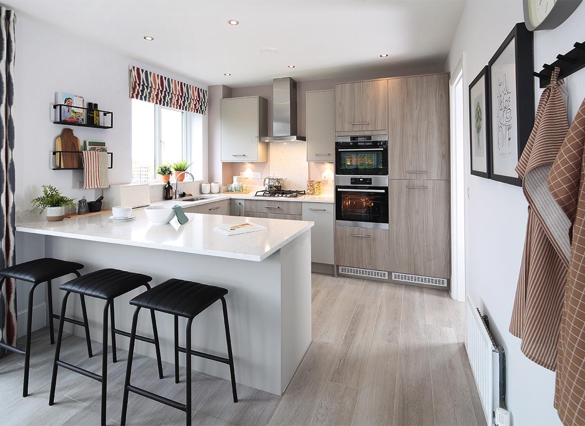 Parc y Coleg development 2 of 17