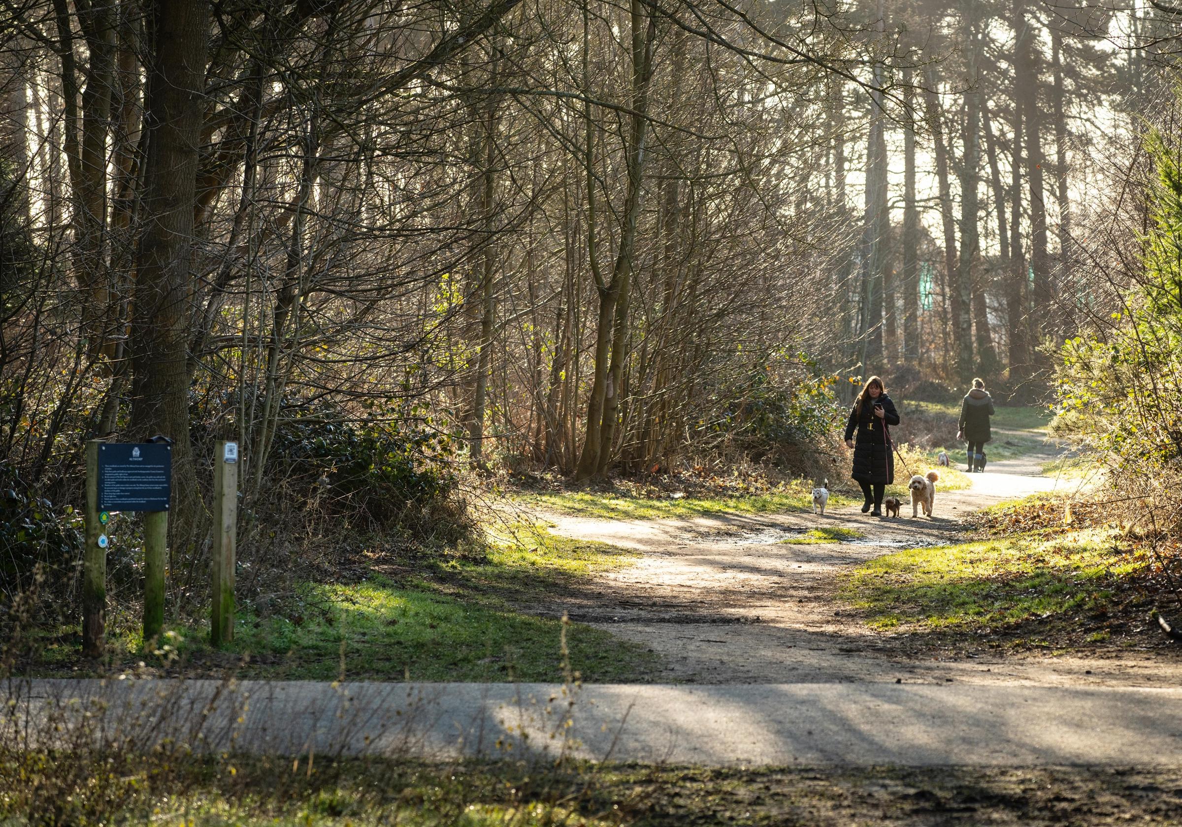 Harlestone Grange development 2 of 9
