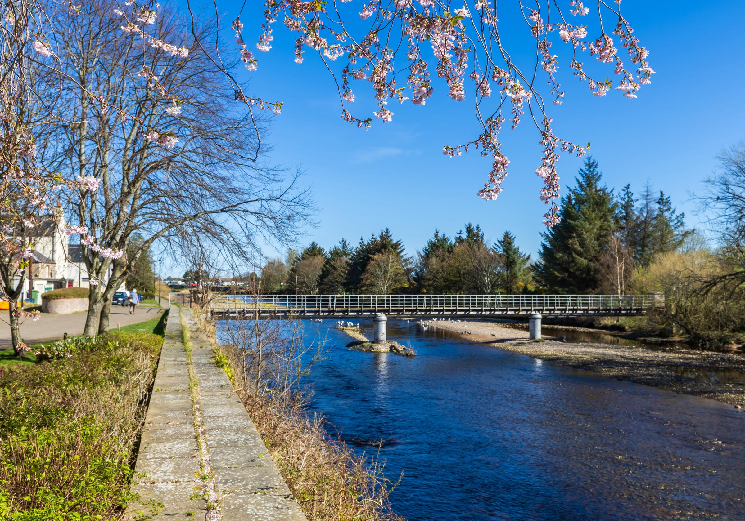 The Dunes Reserve development 1 of 10