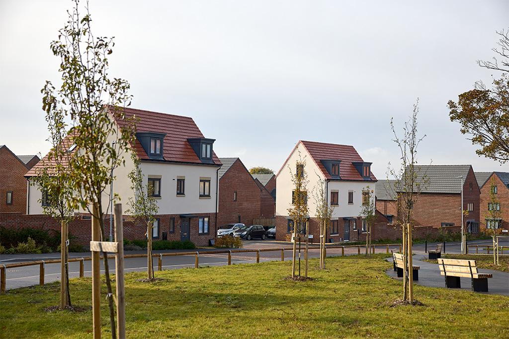 Timeless development 1 of 1