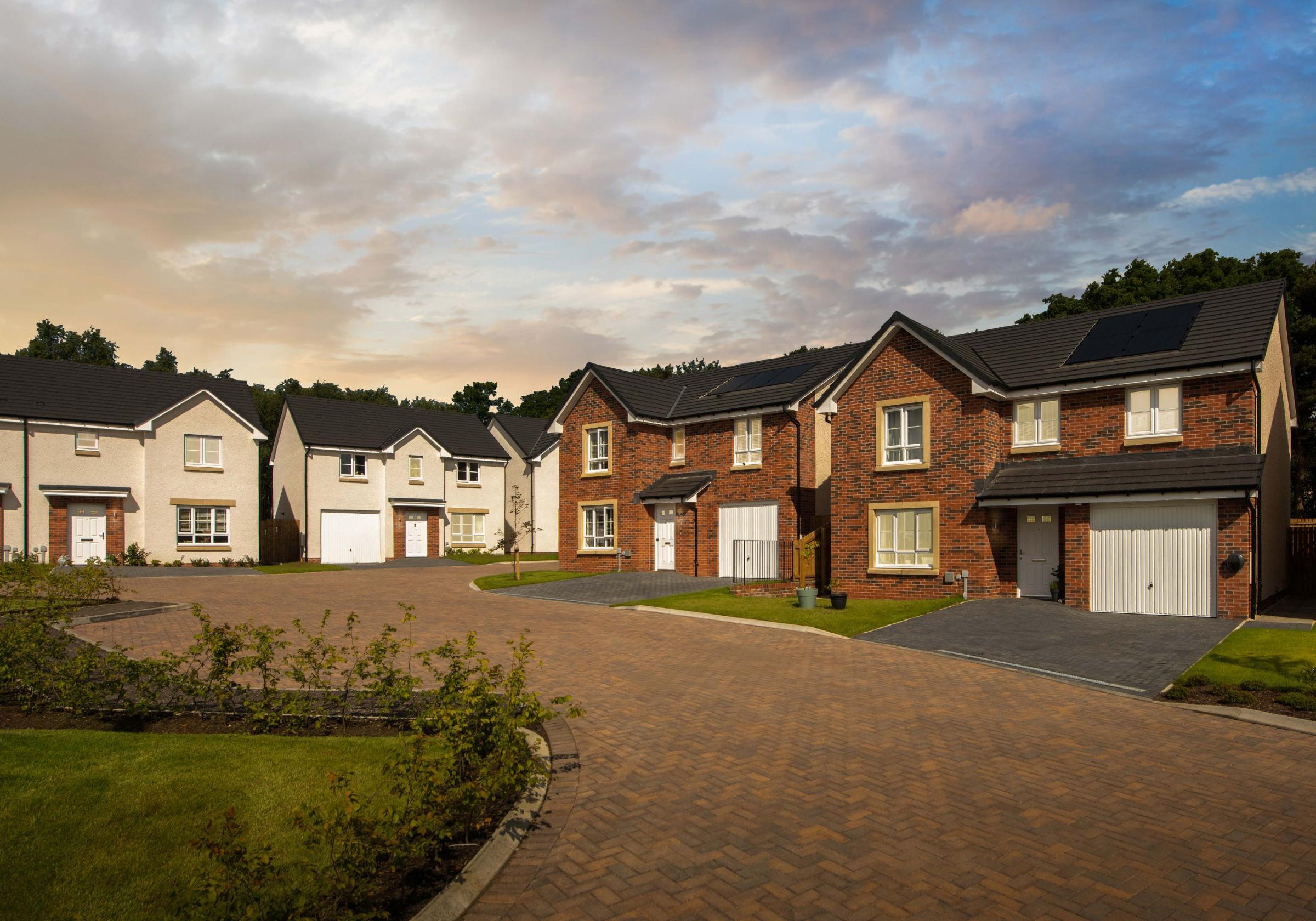 Woodland Gait development 1 of 10