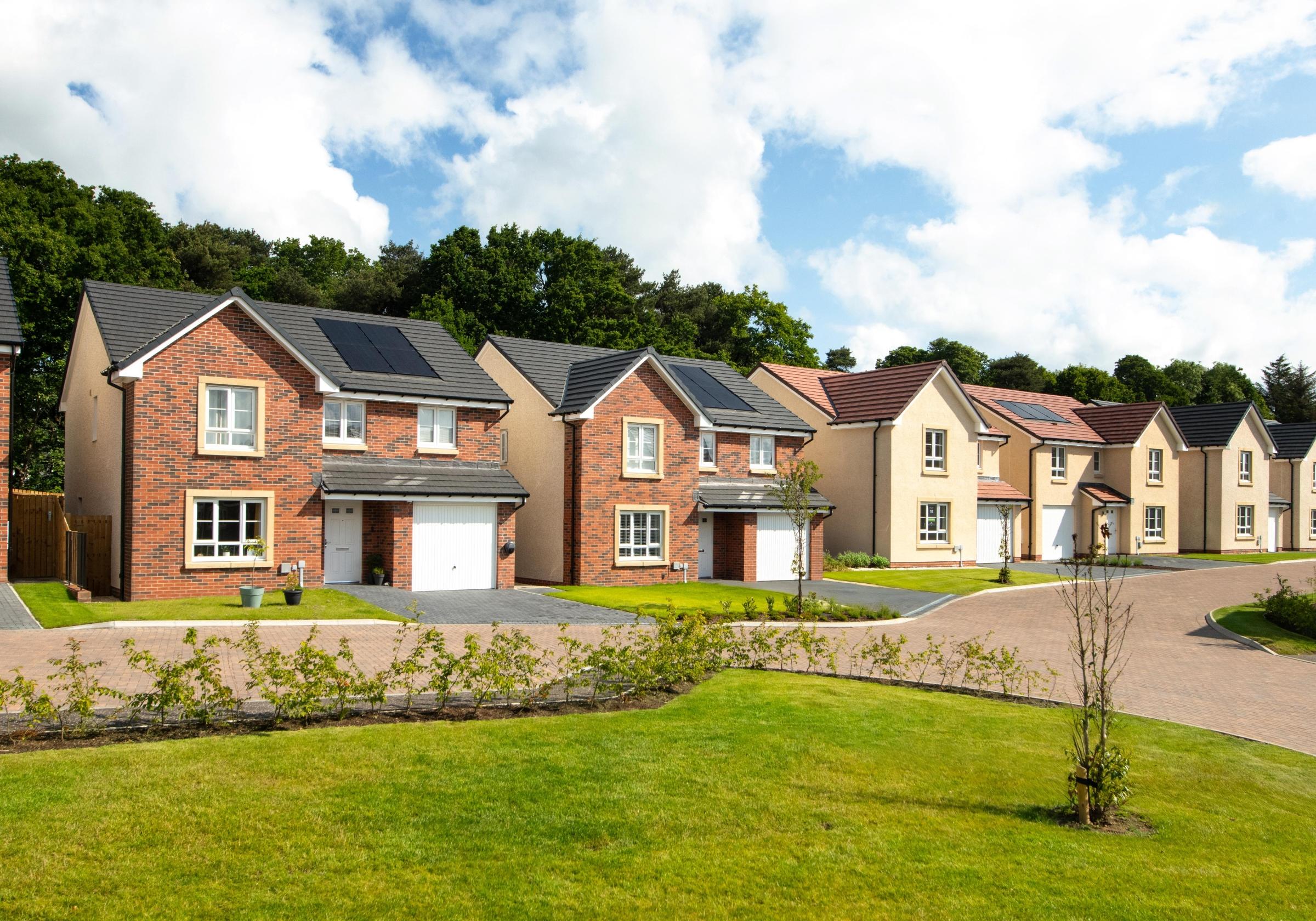 Woodland Gait development 3 of 10