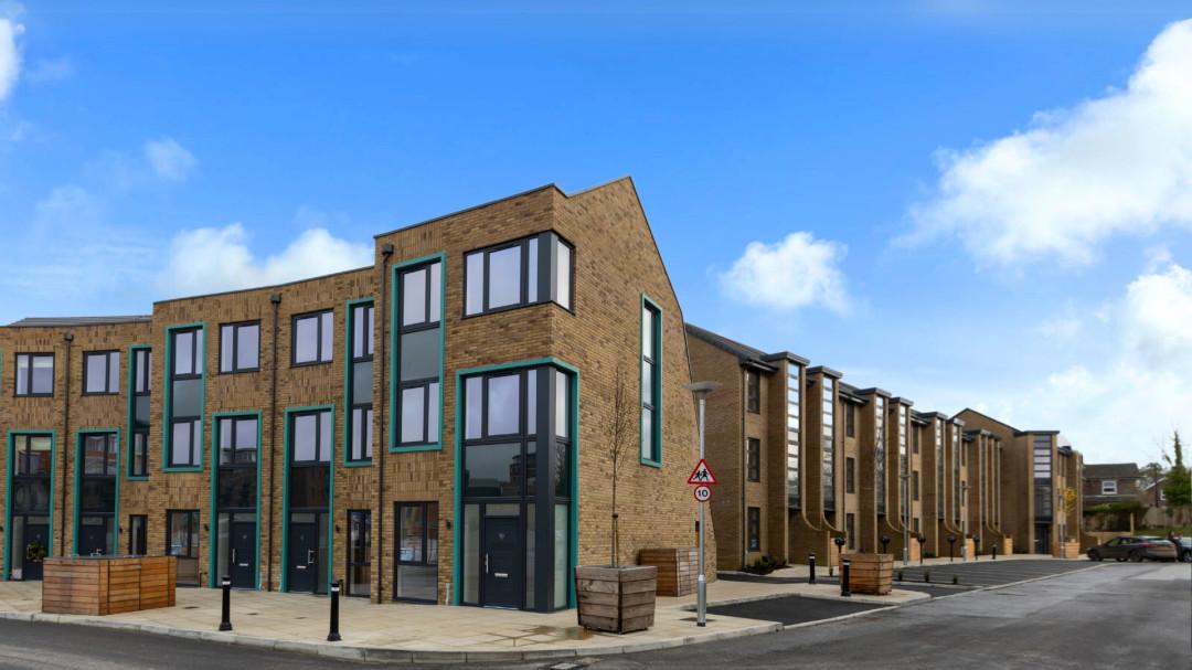 The Hops development 2 of 20