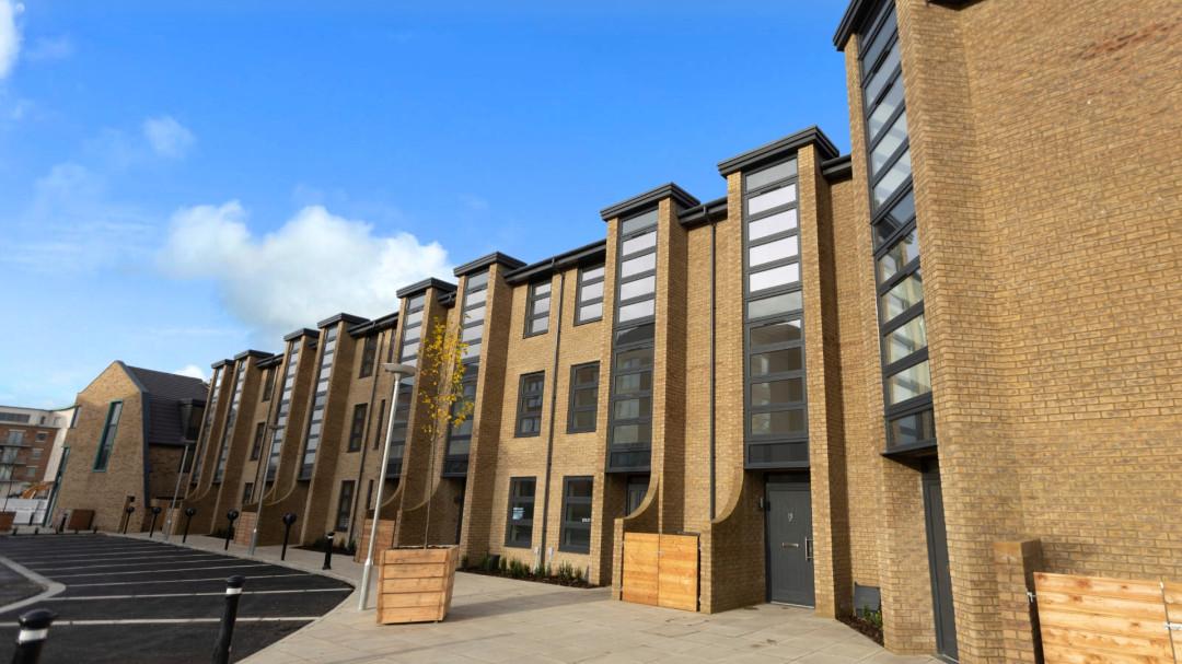 The Hops development 3 of 20