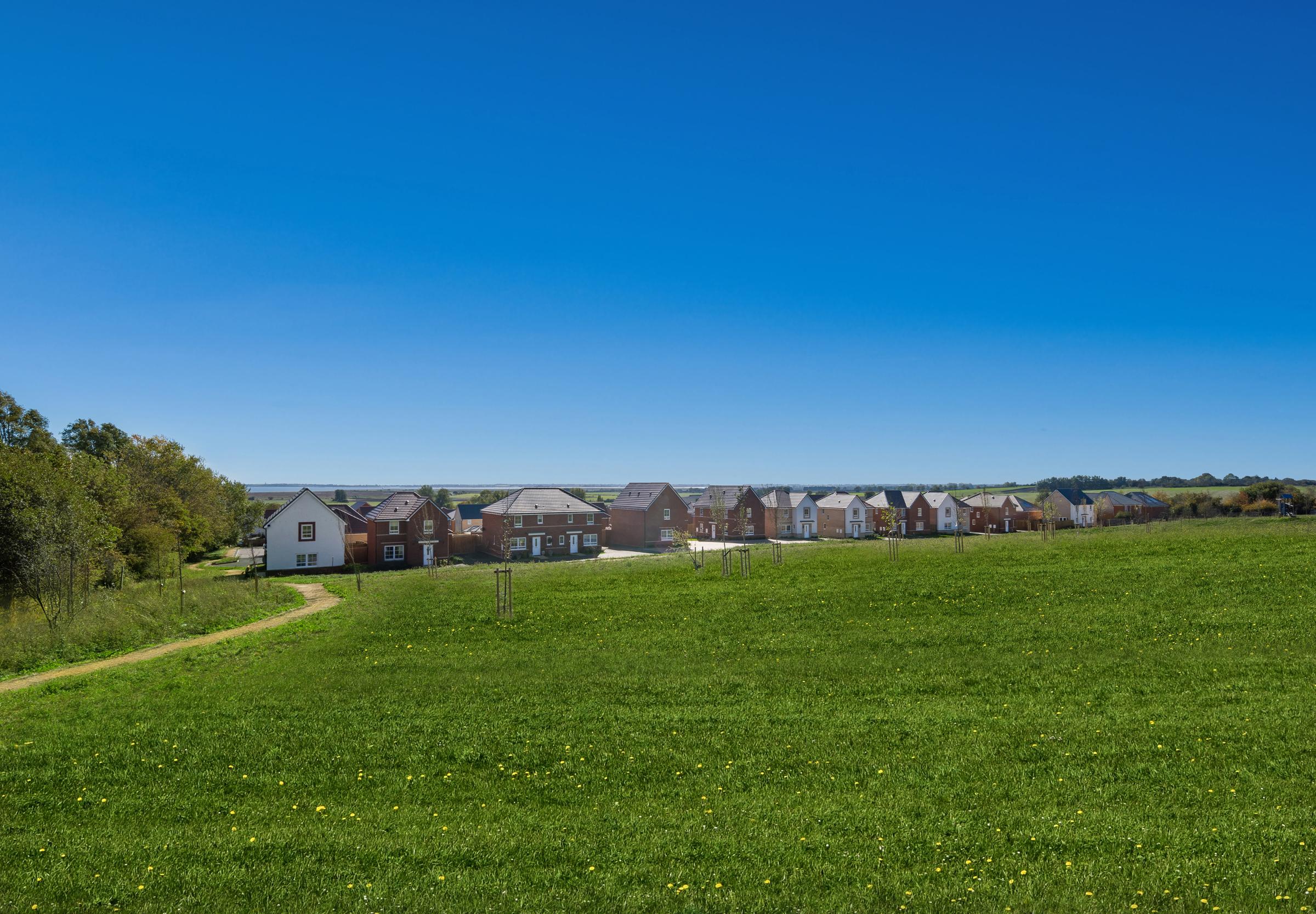 Languard View development 1 of 2