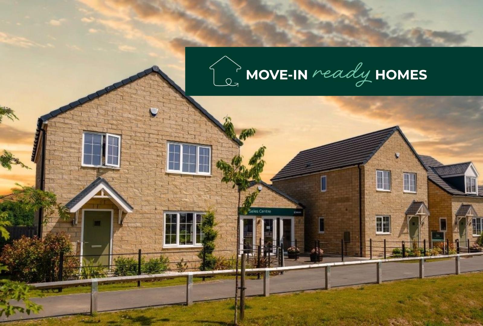 Tulip Fields development 1 of 1