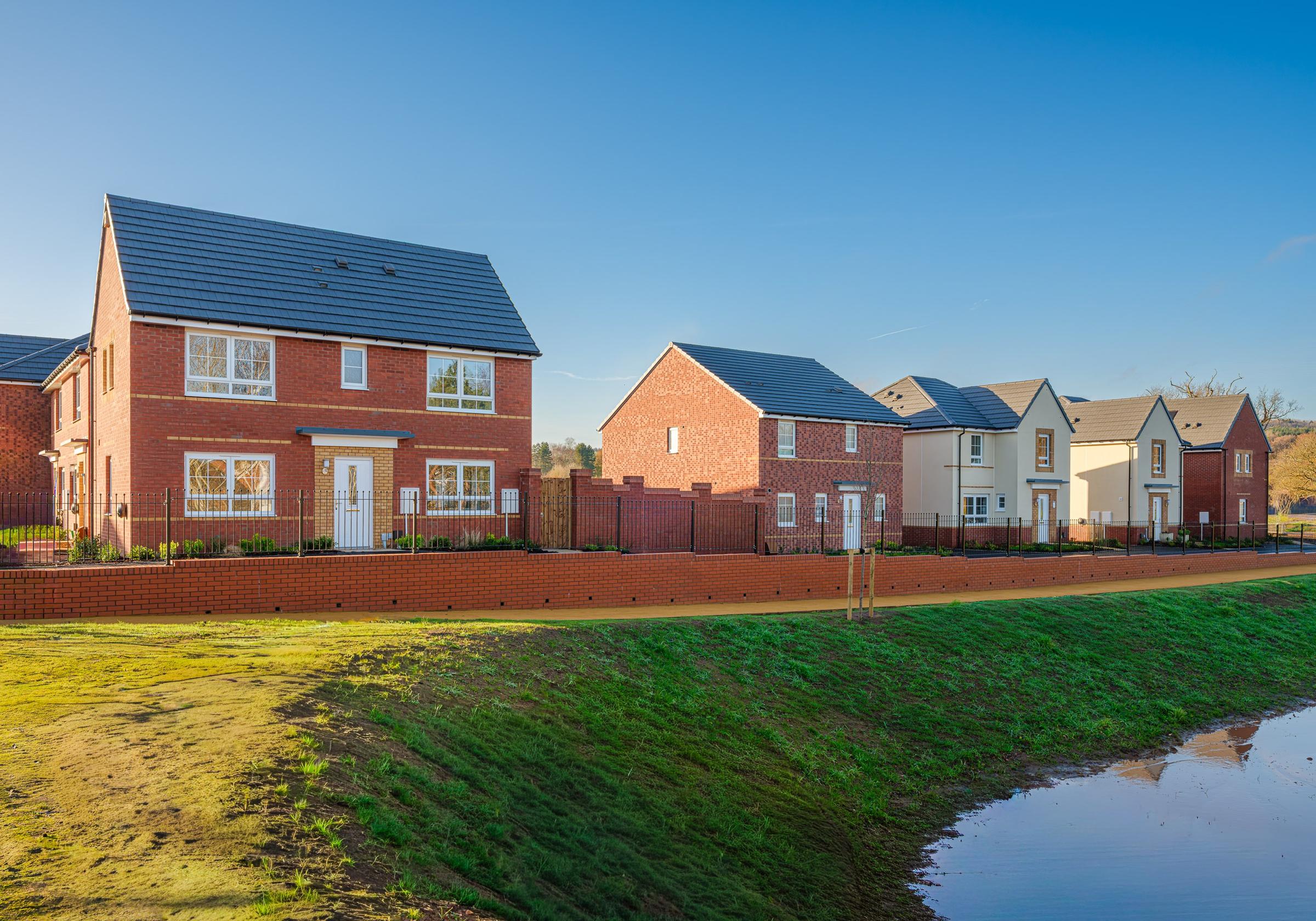 The Pearls development 3 of 8