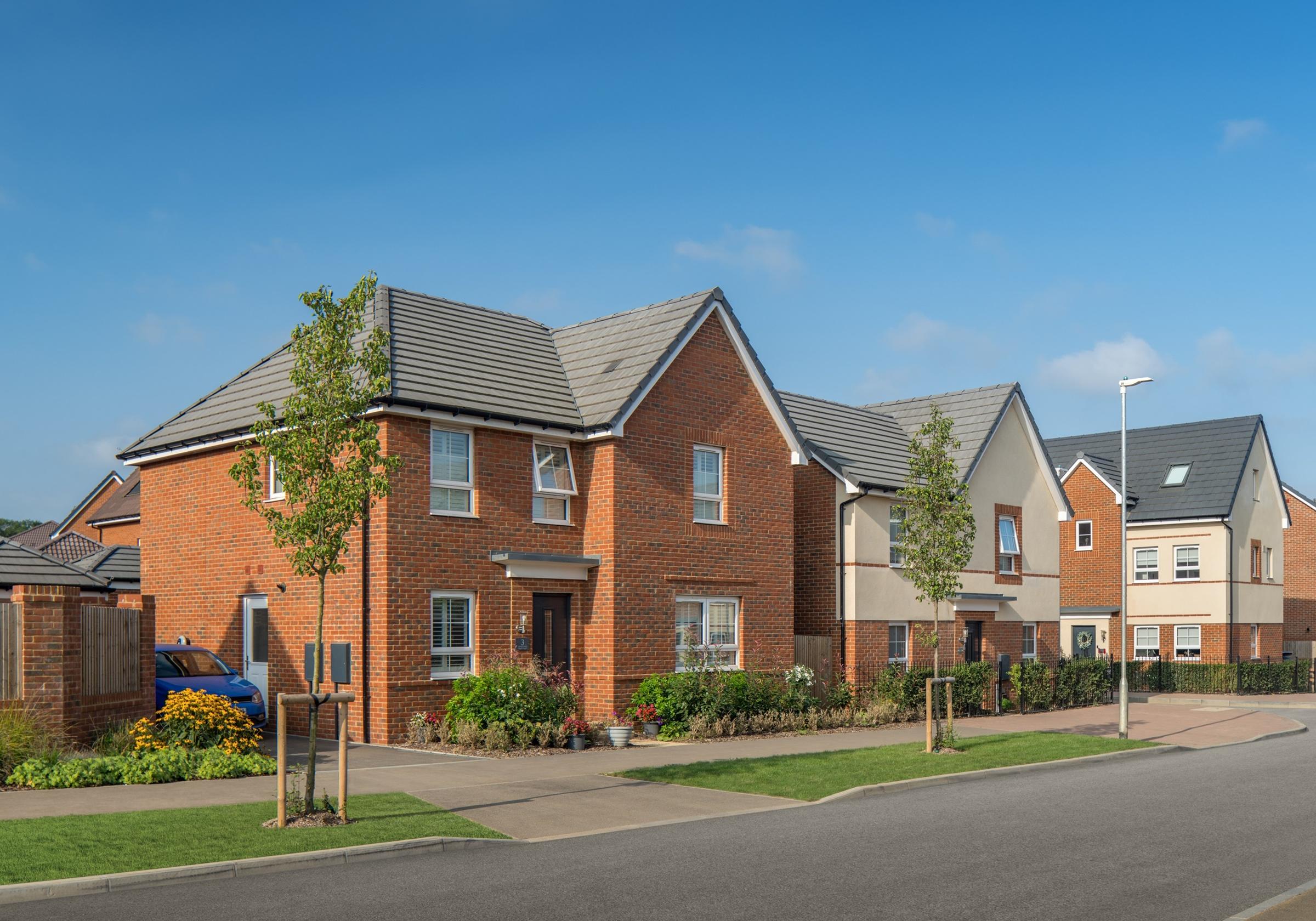 The Poppies development 2 of 3