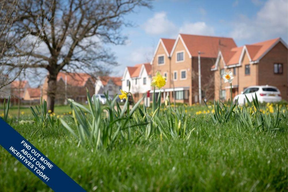 Nightingale Fields at Arborfield Green development 1 of 1