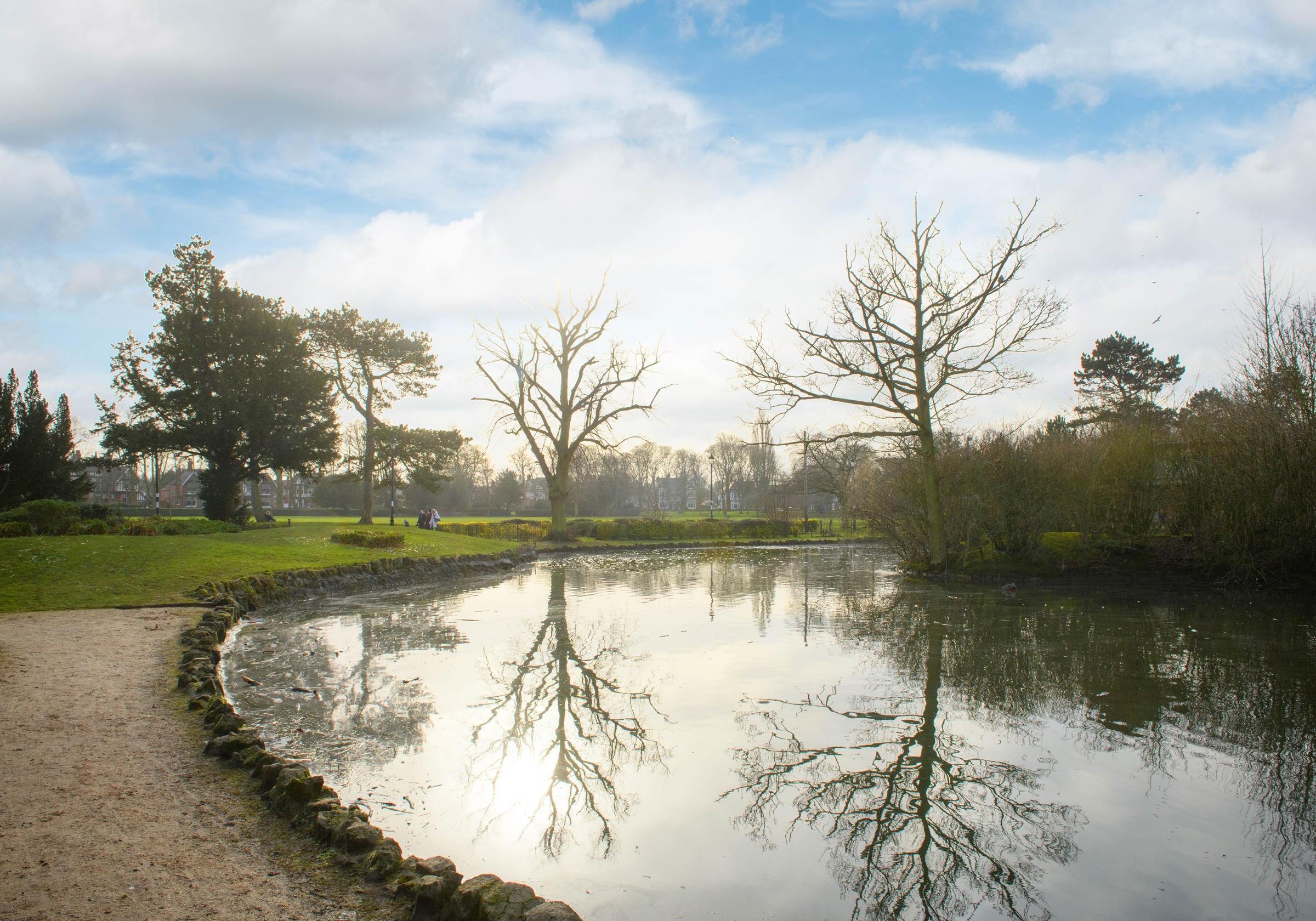 High Forest development 3 of 4