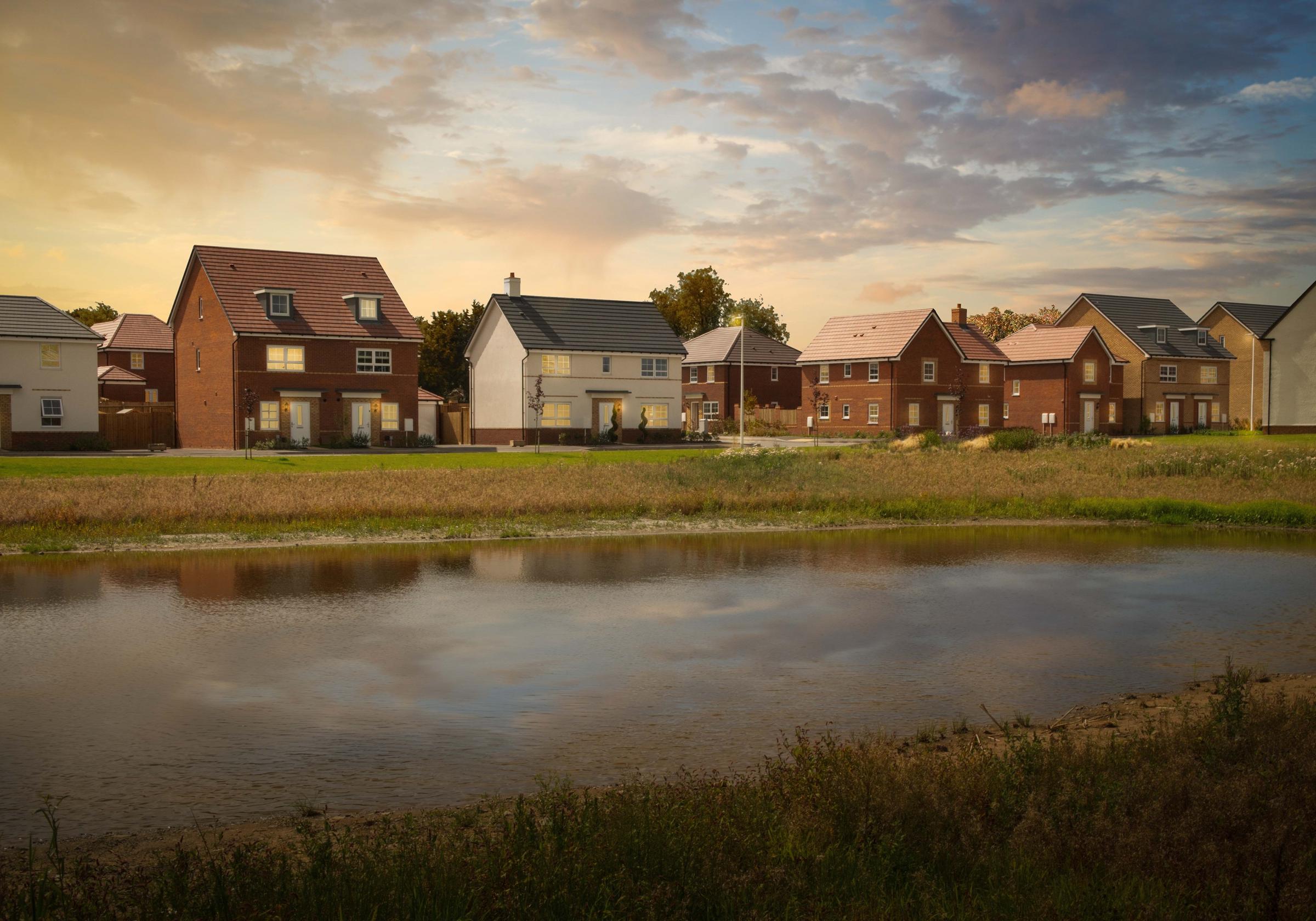 The Lilies development 1 of 5