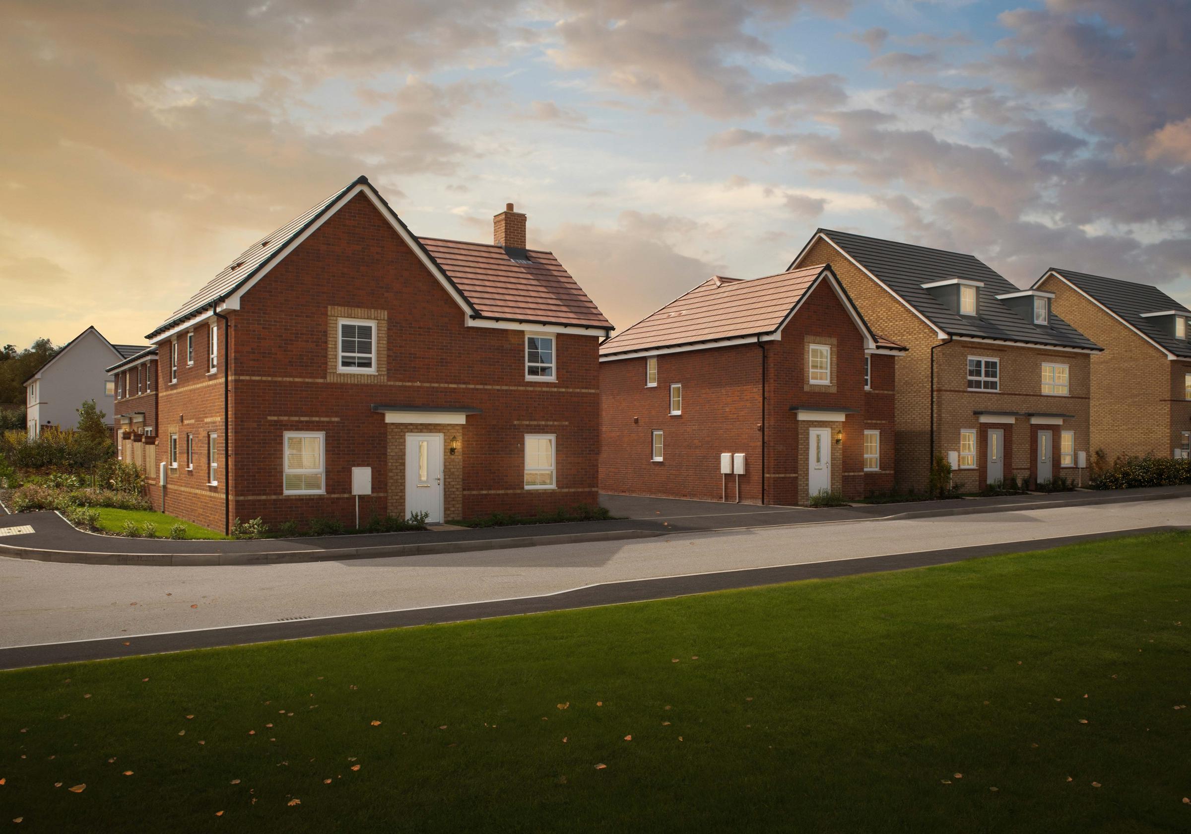 The Lilies development 2 of 5