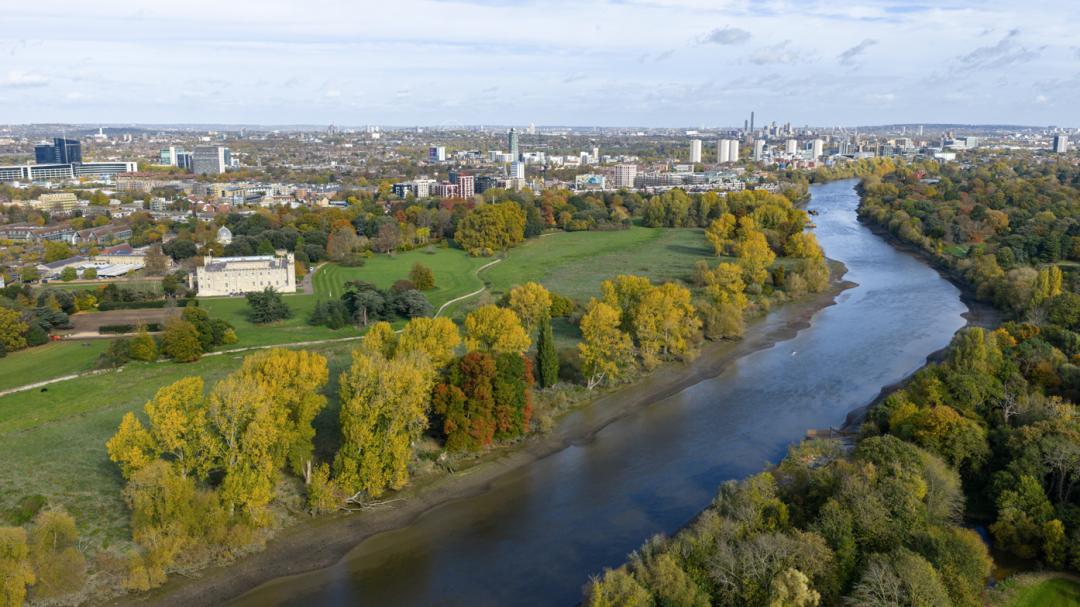 Wireless Apartments development 3 of 8