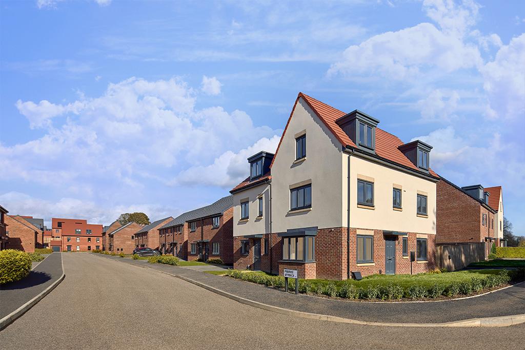 Timeless development 1 of 1