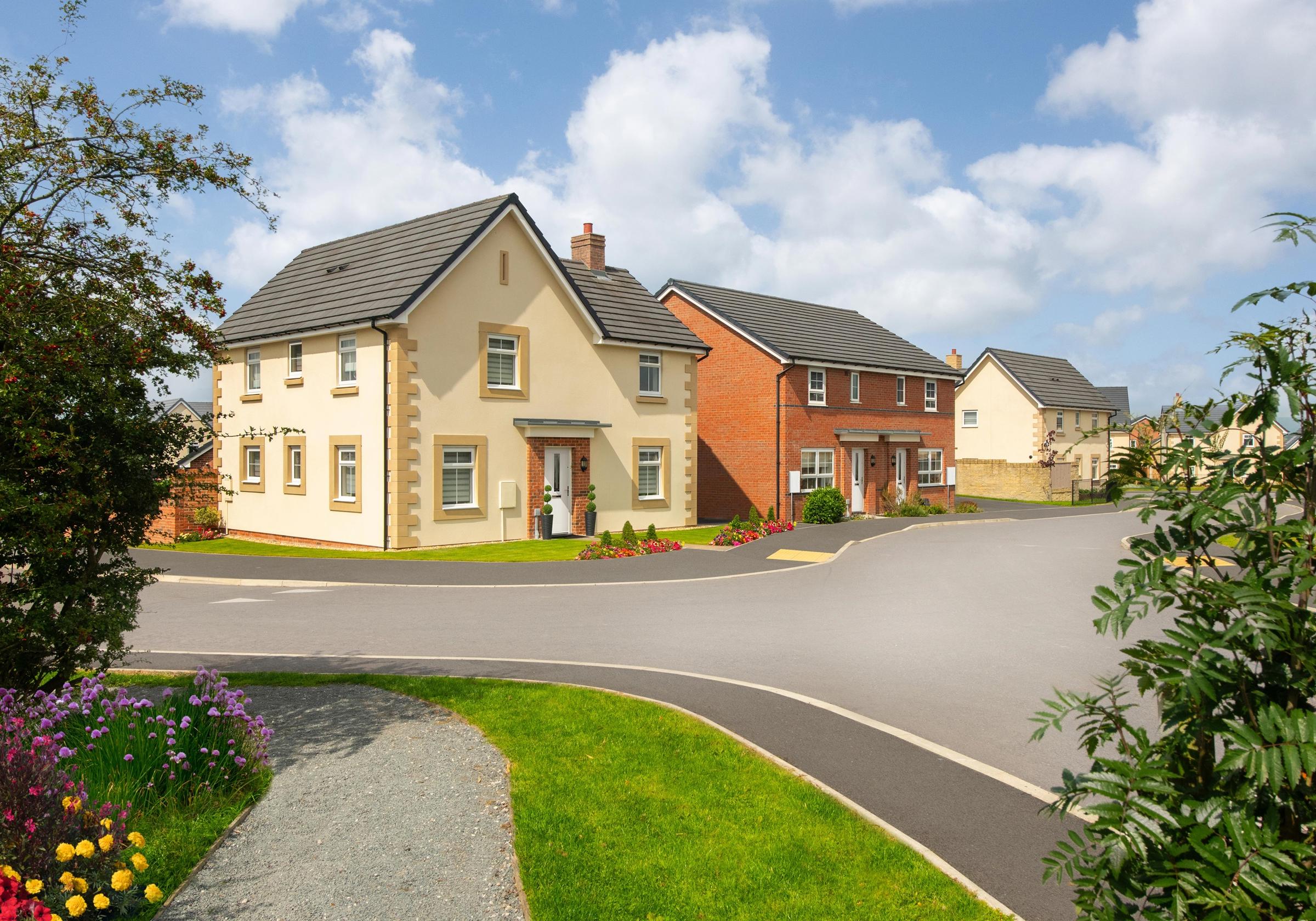 Bowland Meadow development 1 of 10