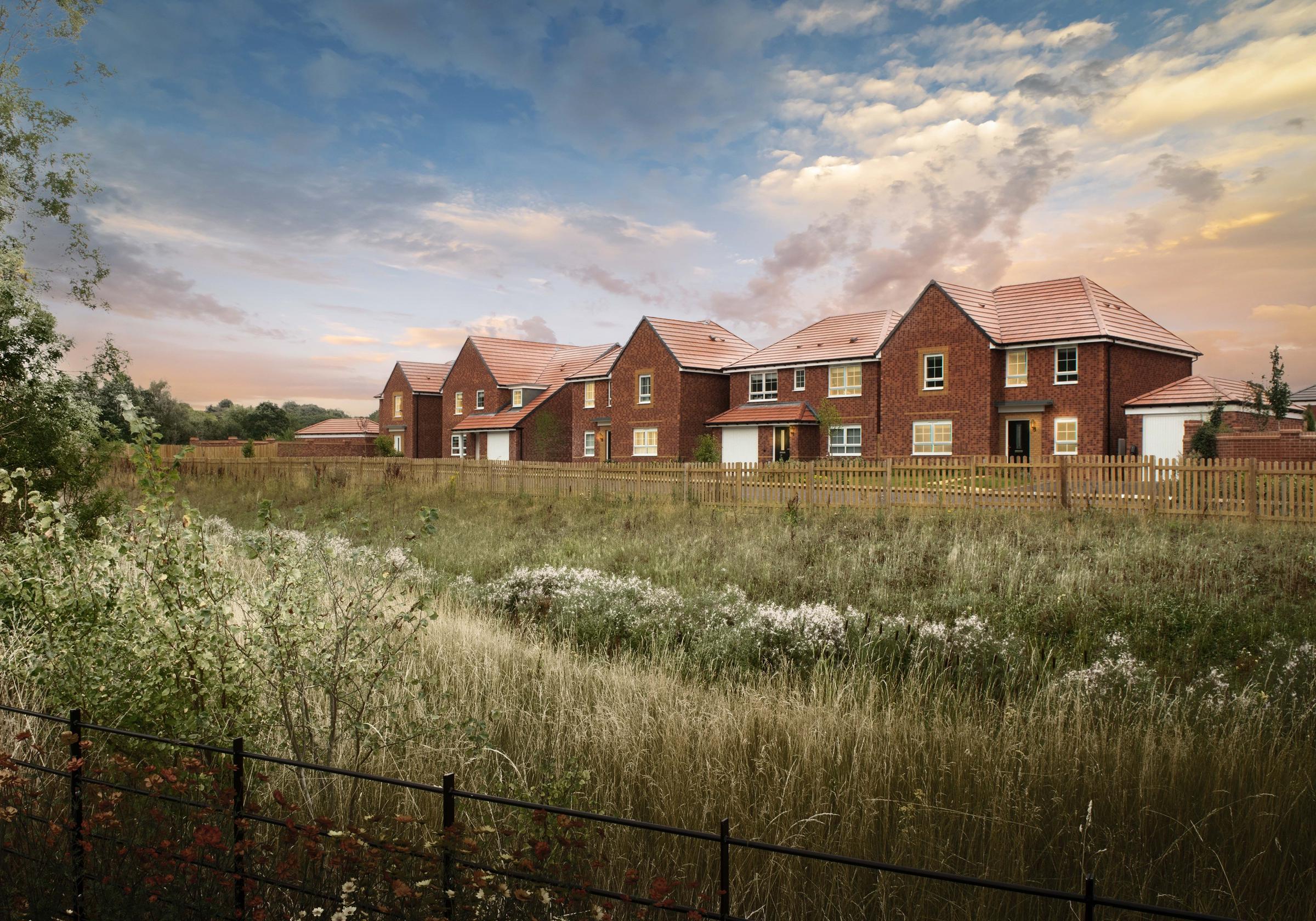 Silkin Meadows development 1 of 6