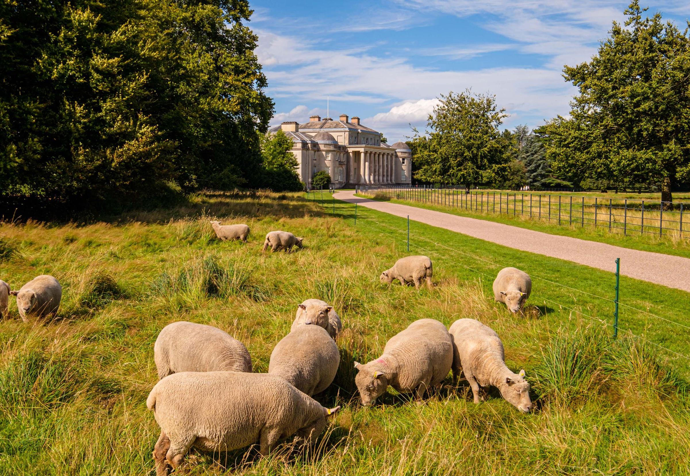 Bertelin Fields development 1 of 2