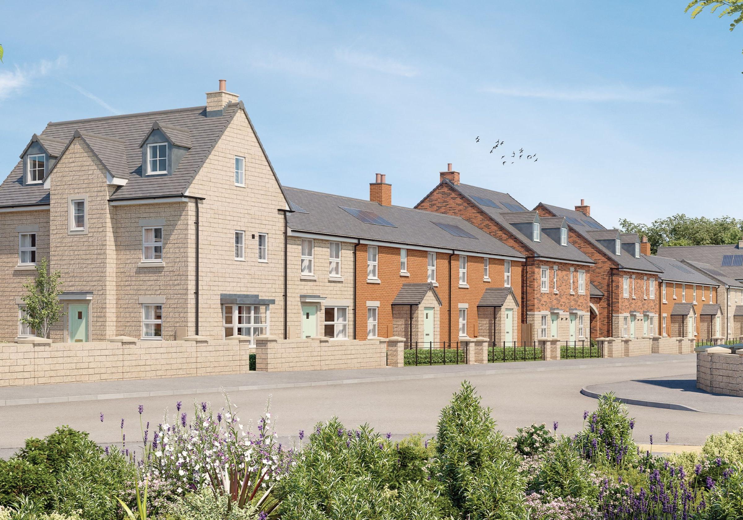 Laurel Chase development 1 of 2