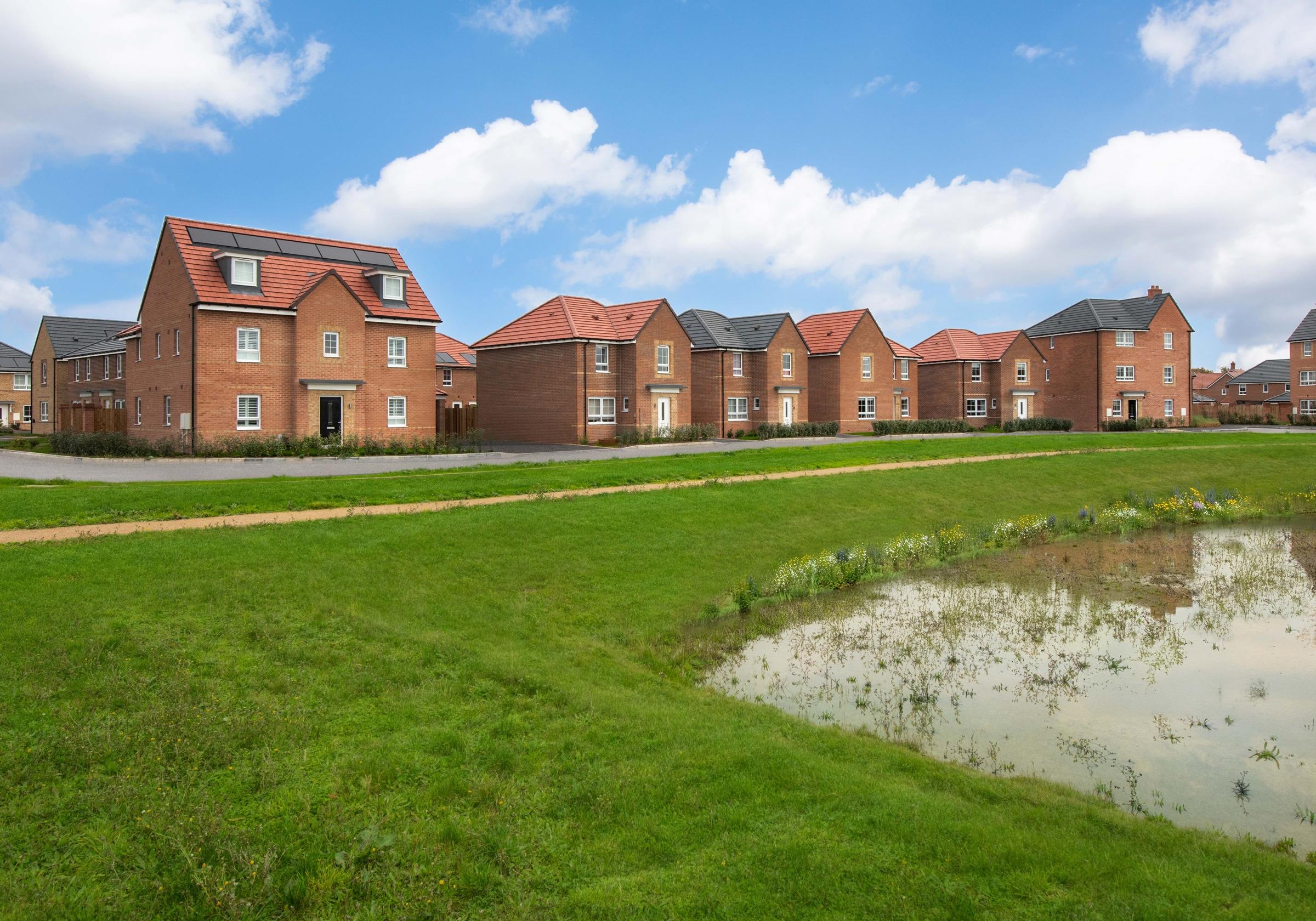 The Meadows development 1 of 7