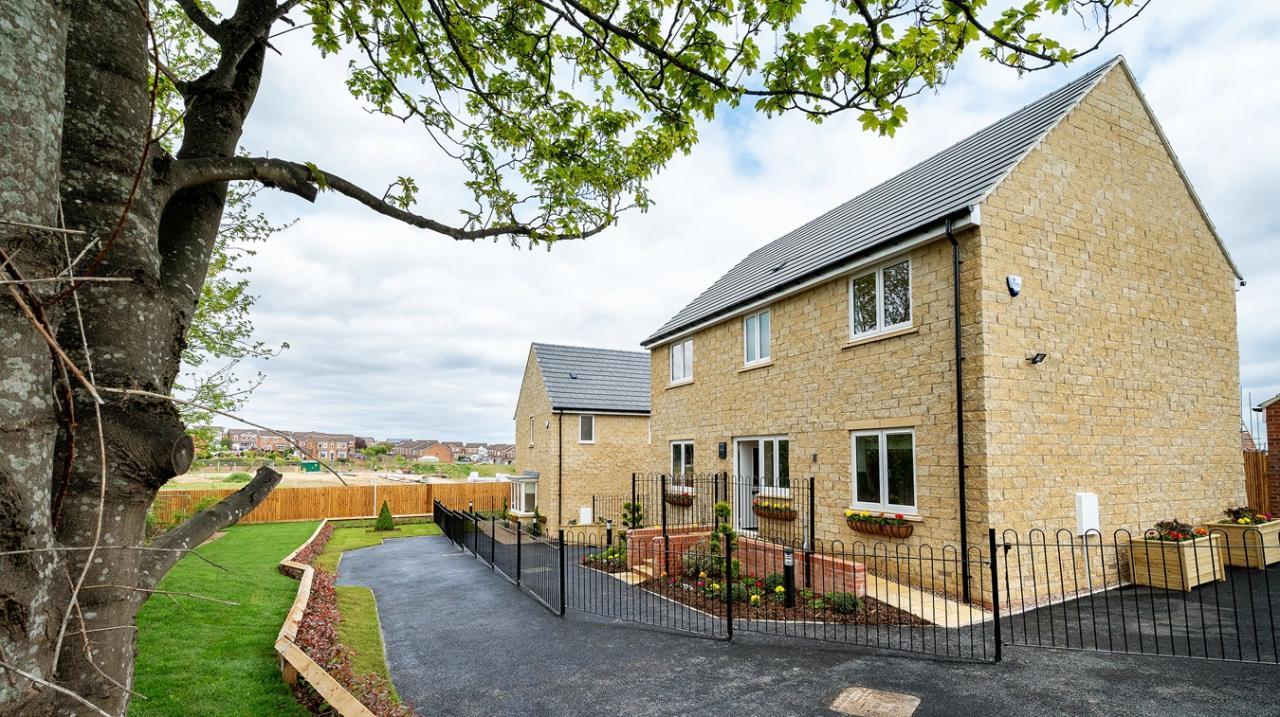 Forest Edge development 2 of 2