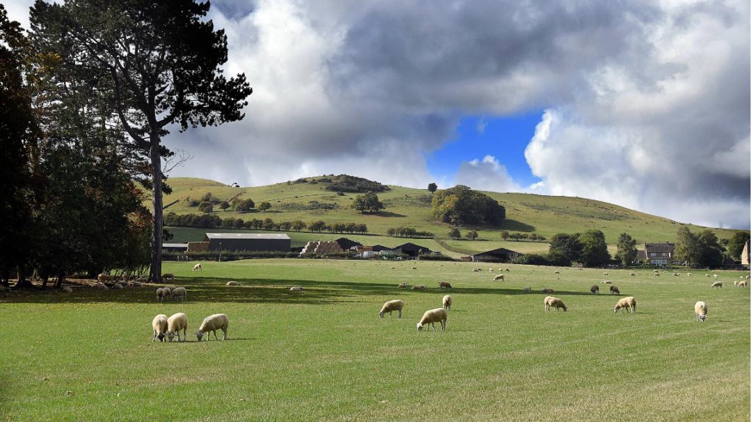 Merret Place development 1 of 15