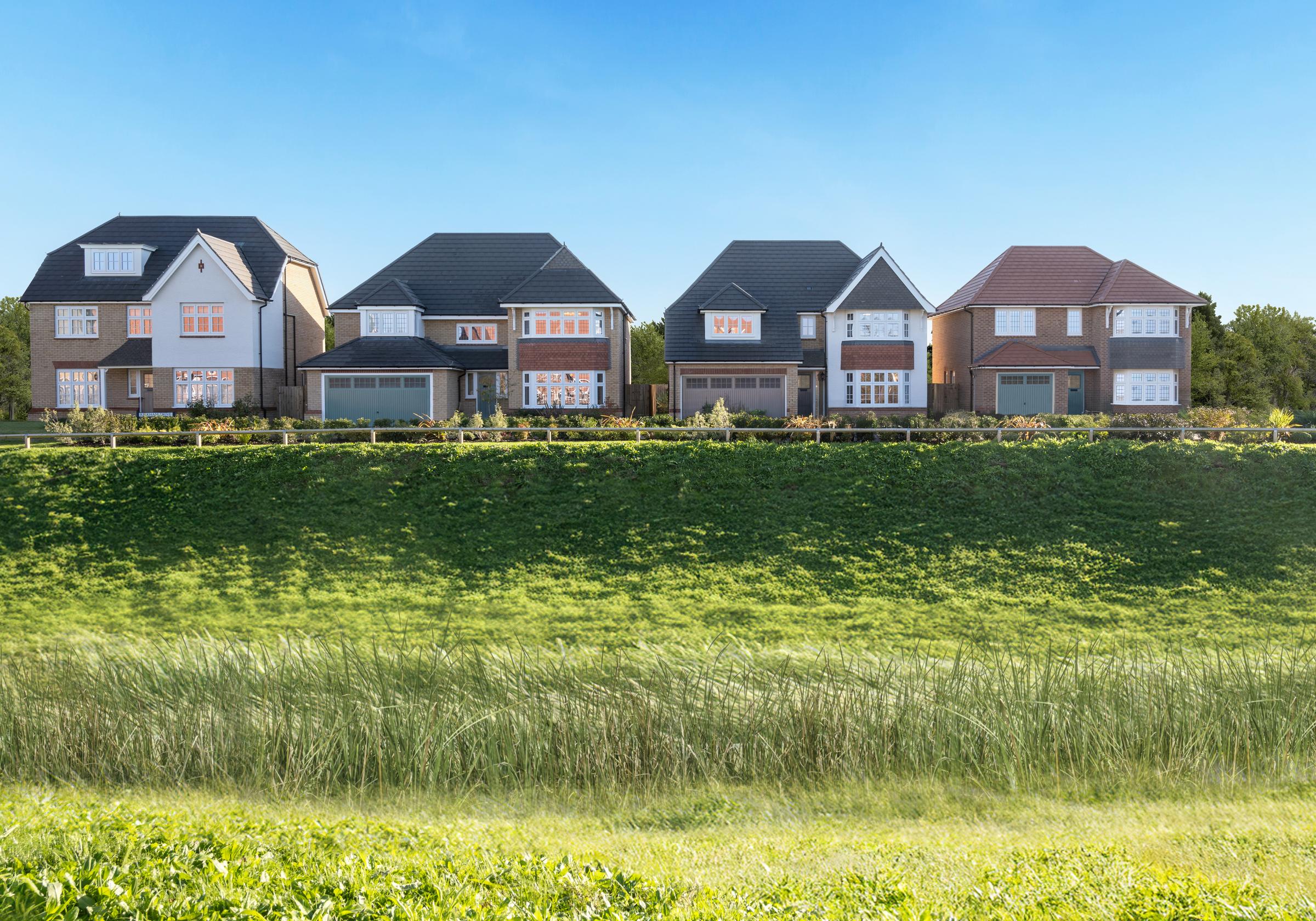 Tudor Meadow development 1 of 10