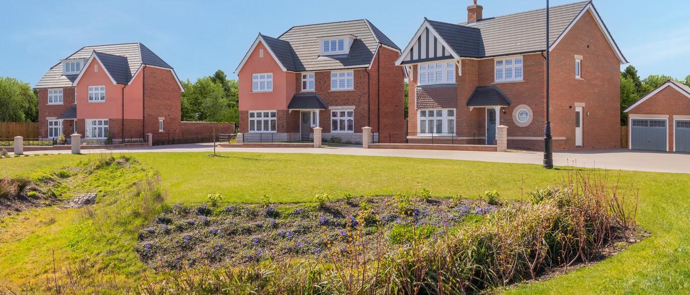 Blossoms development 3 of 3