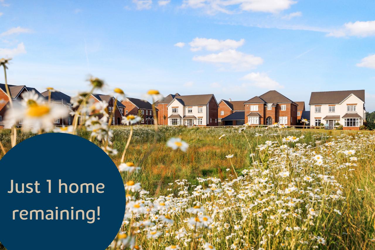 Monument View development 1 of 1