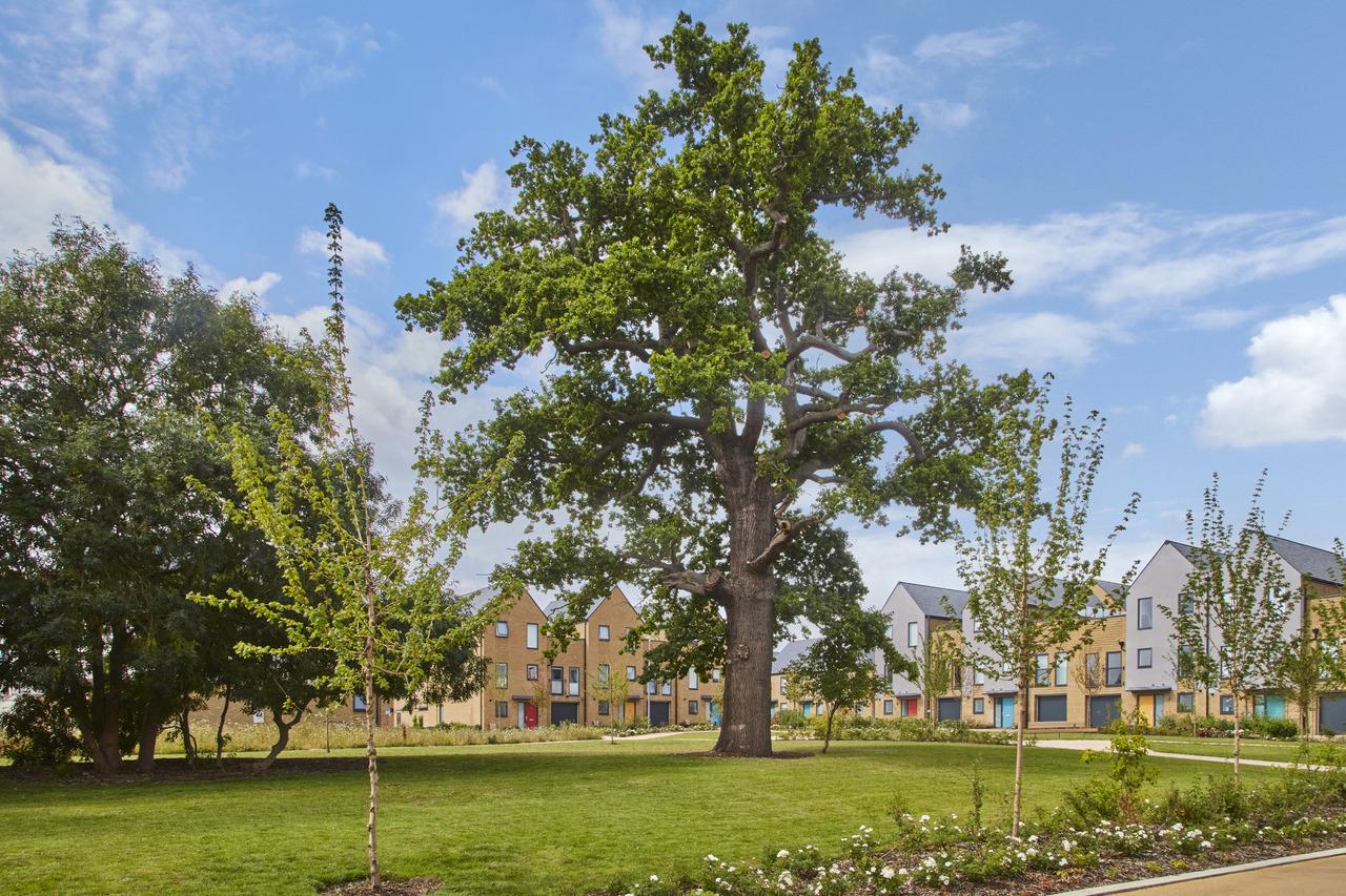 Base at Newhall development 1 of 1