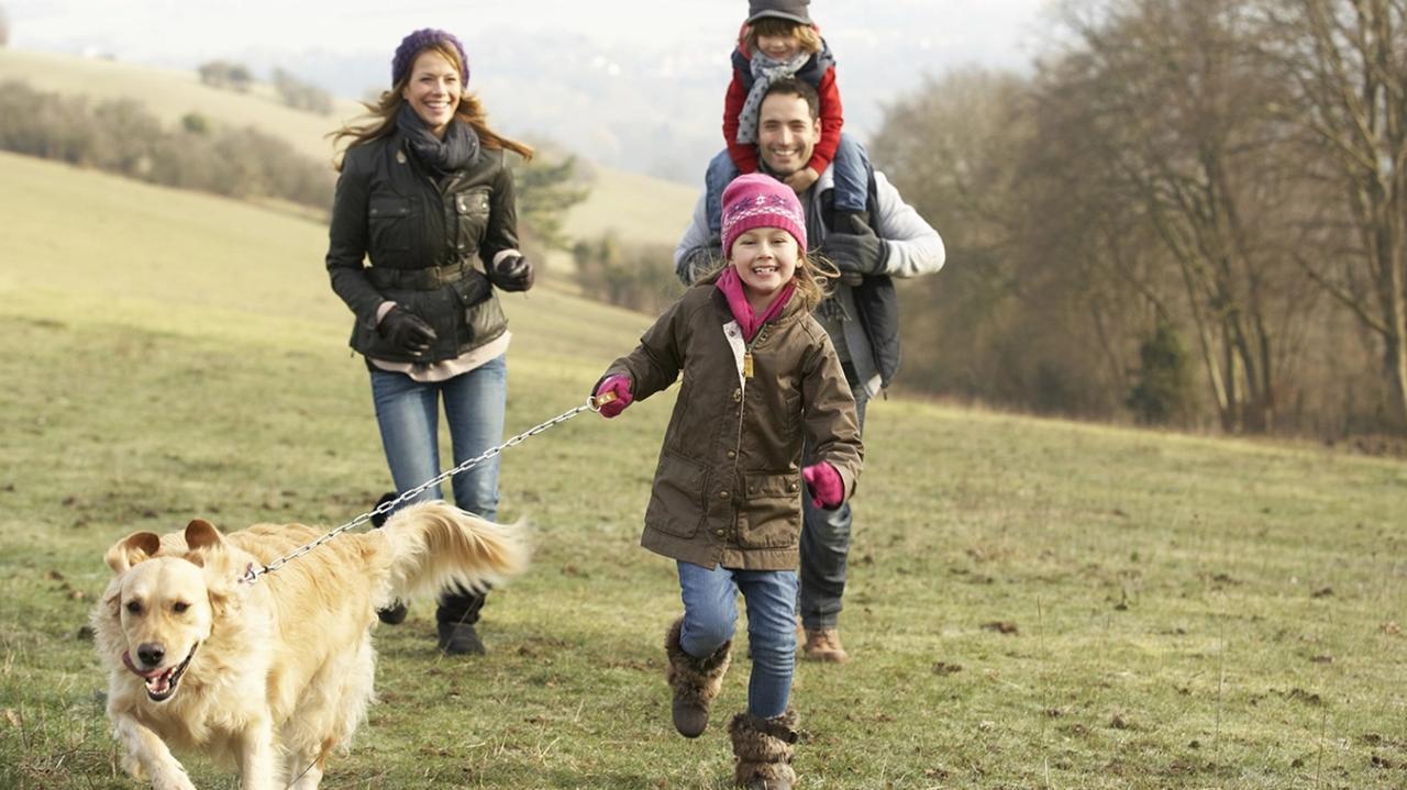 Tanton Fields development 1 of 10