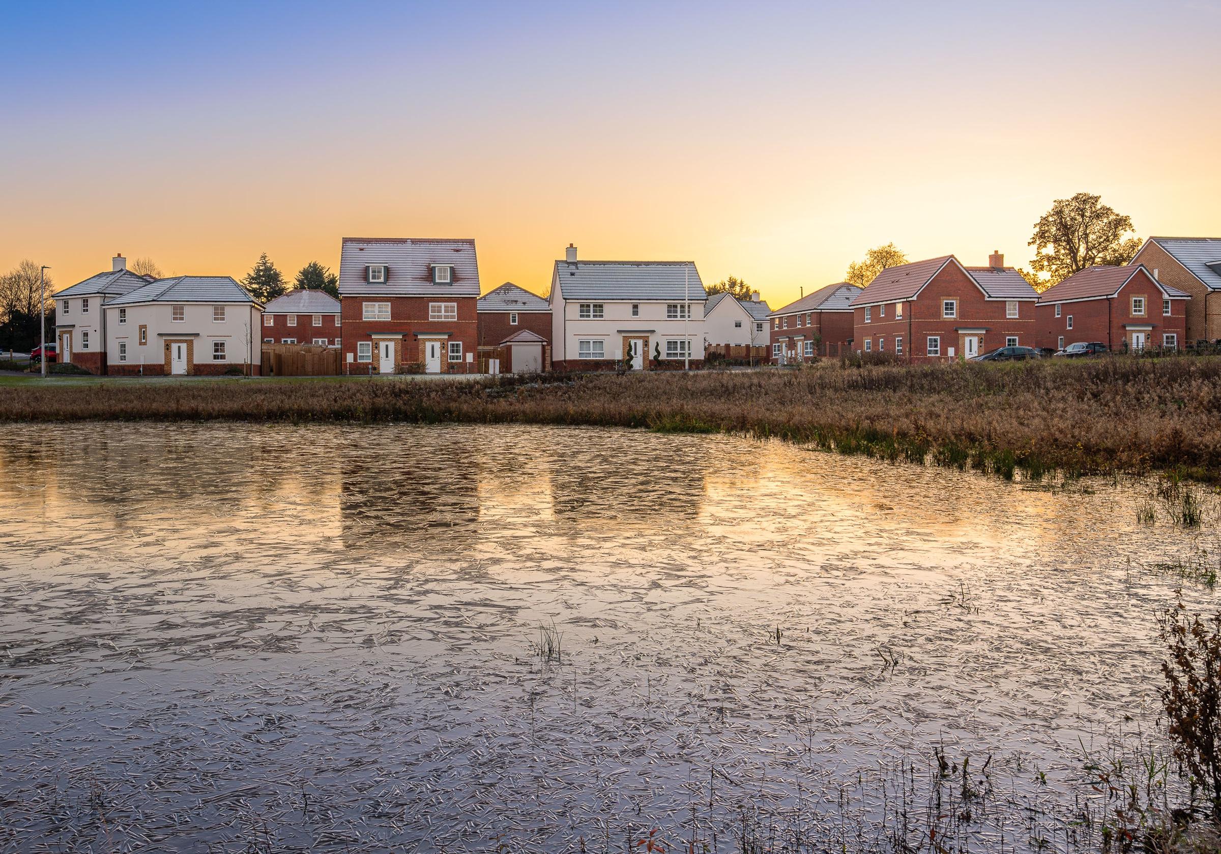 The Lilies development 1 of 8