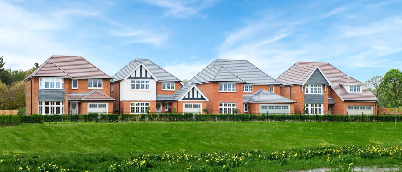 Bishop Meadows development 1 of 2