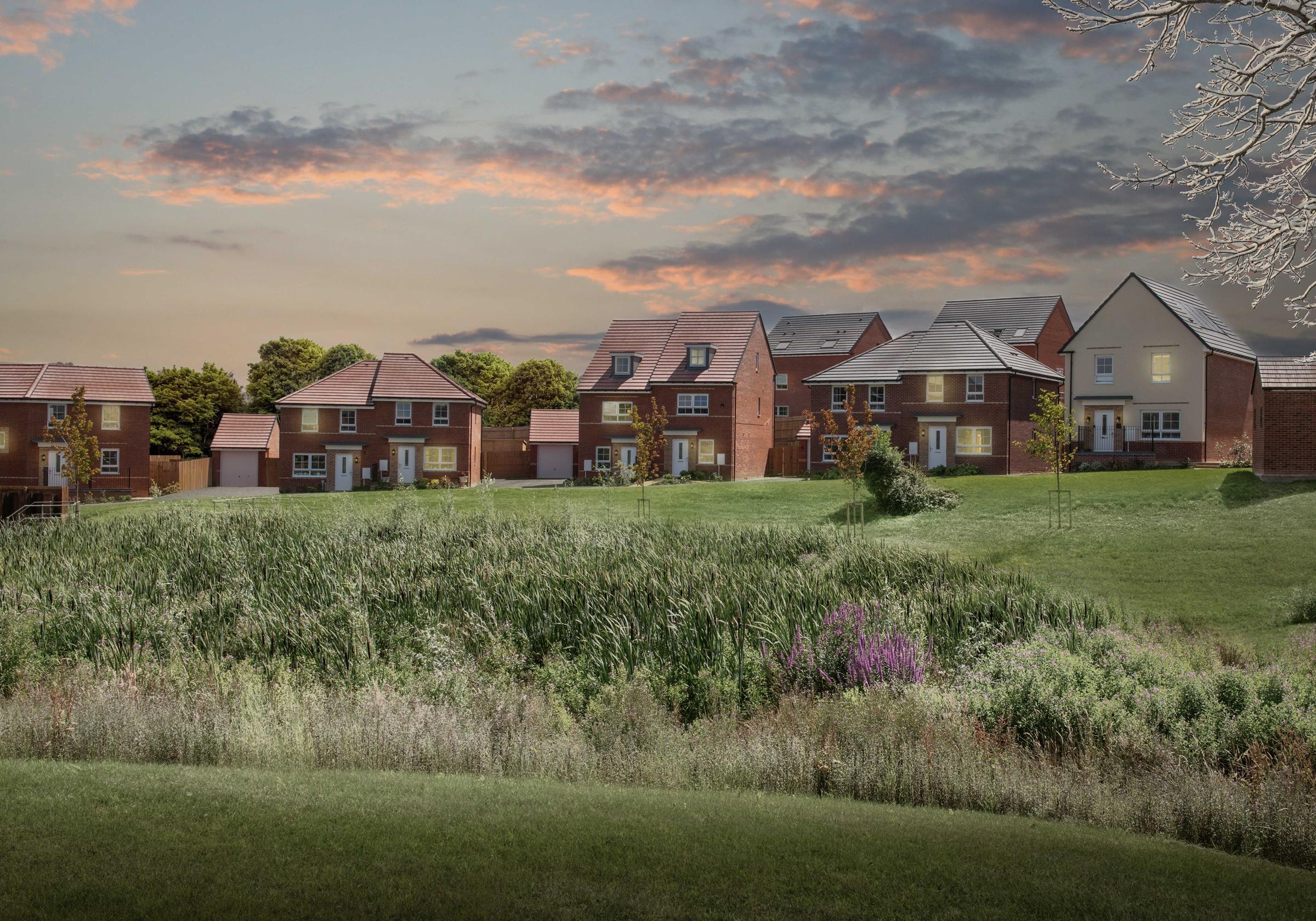 Poppy Fields development 1 of 8