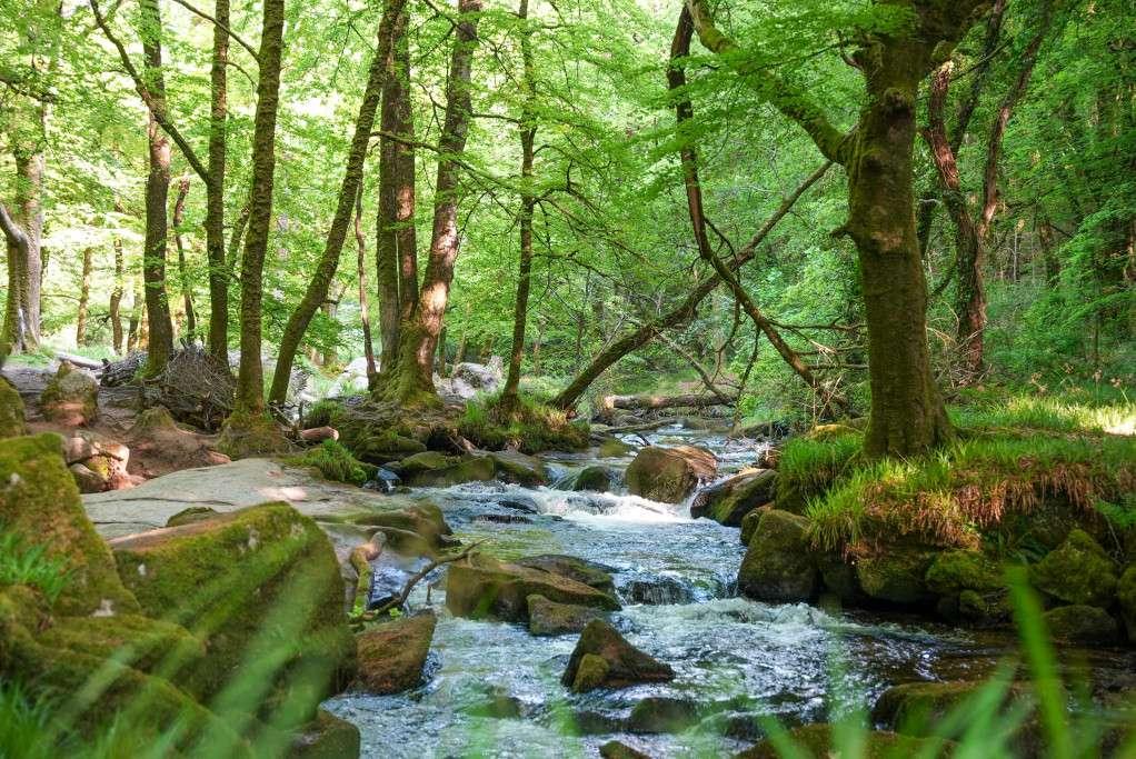 Lark View development 3 of 12