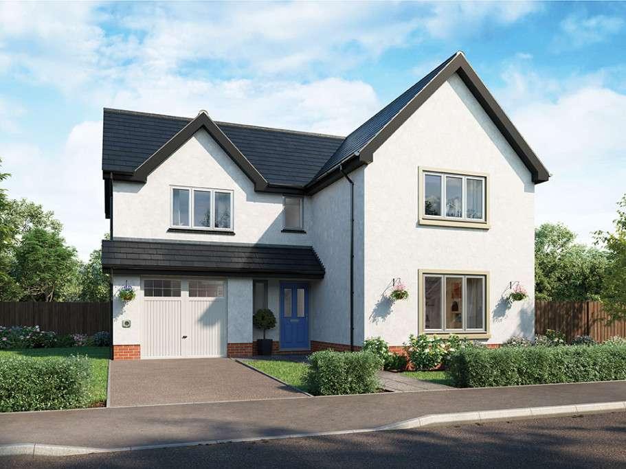 Lark View development 1 of 13