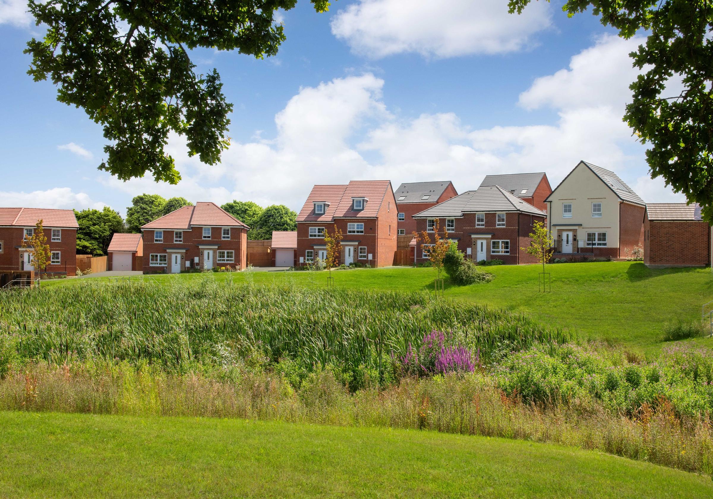 Poppy Fields development 1 of 8